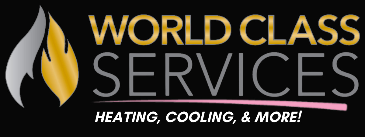 World Class ServicesLogo